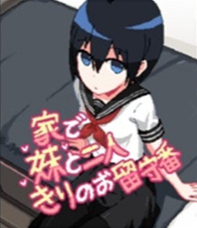 和妹妹两个人看家3