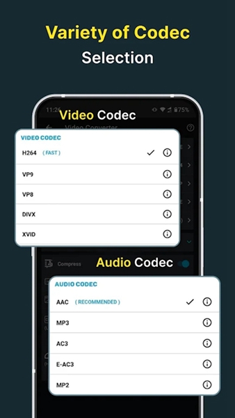 video converter vip高级版4