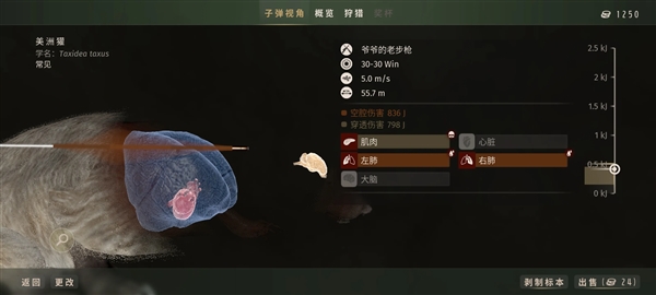 猎人之路狂野美国5