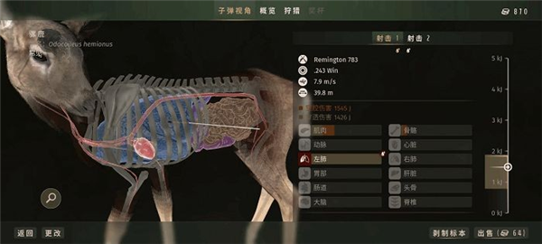 猎人之路狂野美洲安卓版宣传图