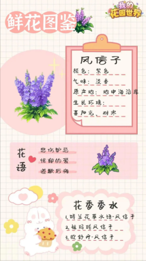 我的花园世界官方版