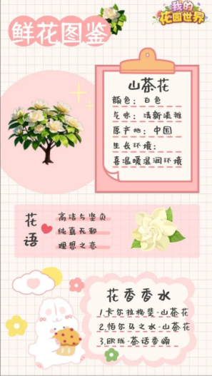 我的花园世界官方版