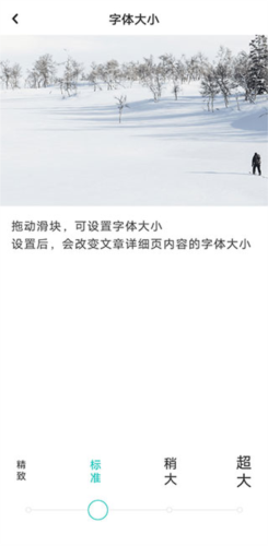 老福特2025版软件截图14