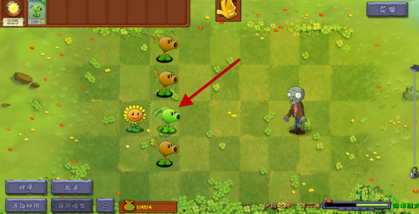 植物大战僵尸转基因版最新版