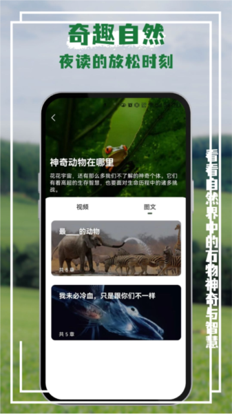 熊猫客app4