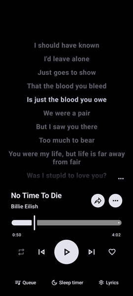 Metrolist开源音乐播放器1