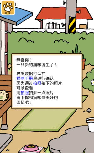 猫咪后院2国际服最新版