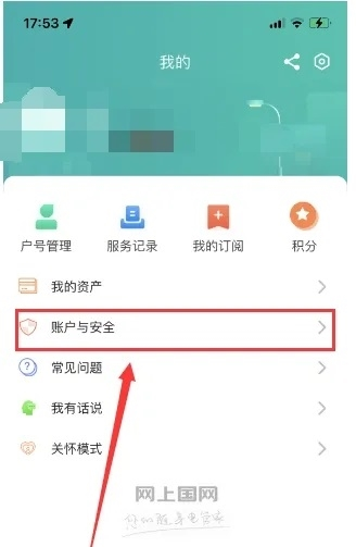 网上国网app