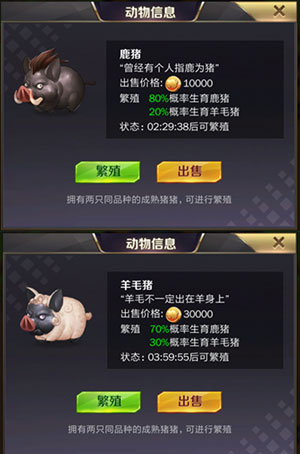 游戏攻略配图10