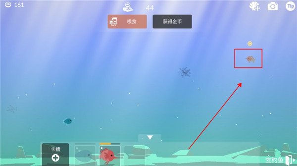 钓鱼人生最新版