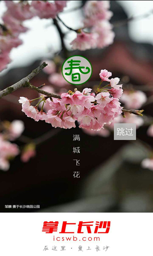 掌上长沙app1