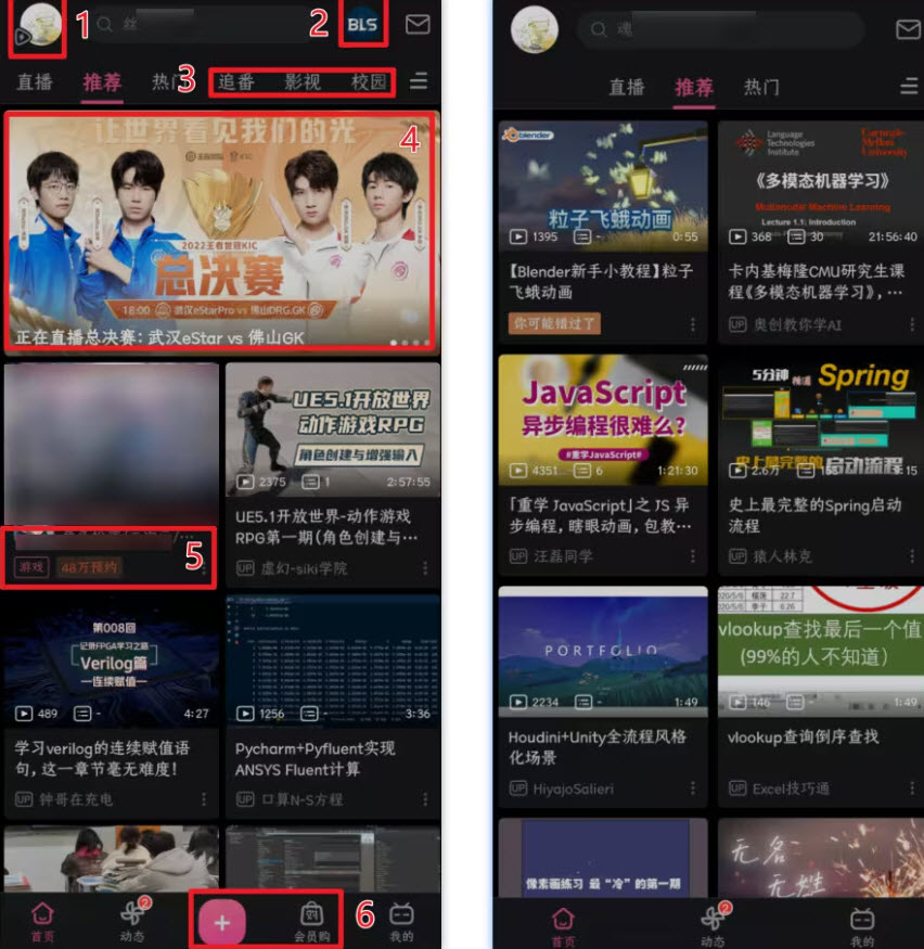 哔哩哔哩国际版