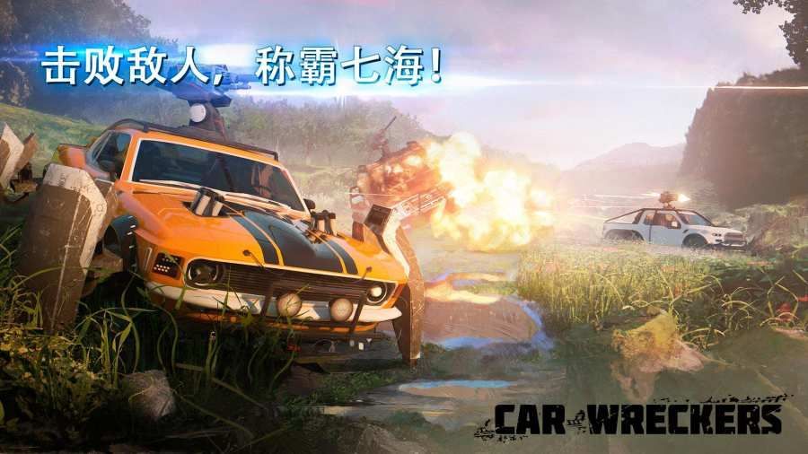 car wreckers3