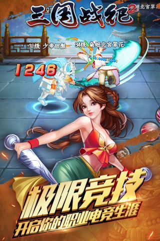 三国战纪24