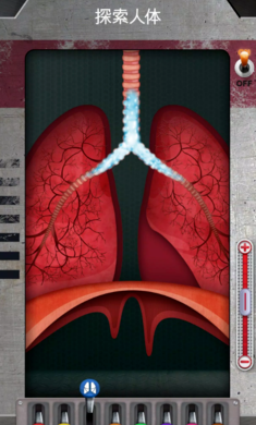 人体是如何运作的官方版2