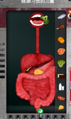 人体是如何运作的最新版1
