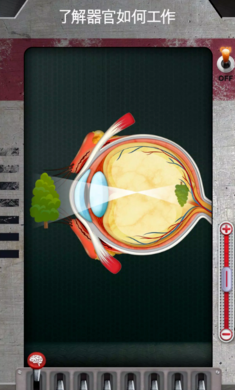 人体是如何运作的全新版3