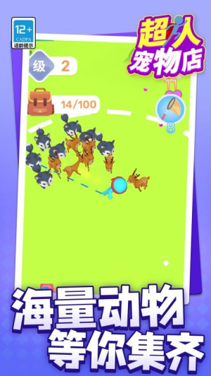 超人宠物店全新版3