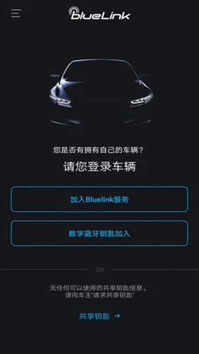 blueLinkAPP2