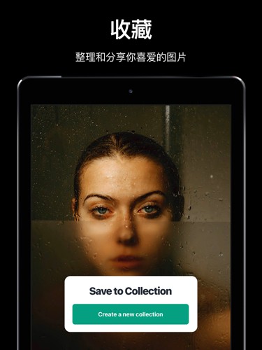 pexels素材中文版官方1