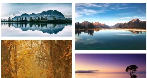 pexels素材中文版官方图片2