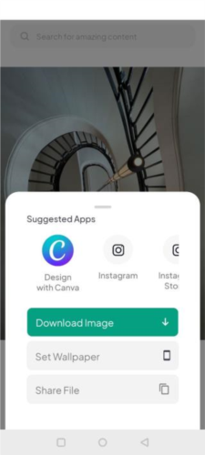 pexels素材中文版官方图片4