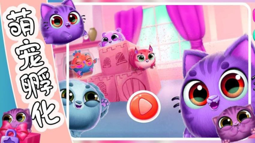 萌宠饲养小屋全新版5