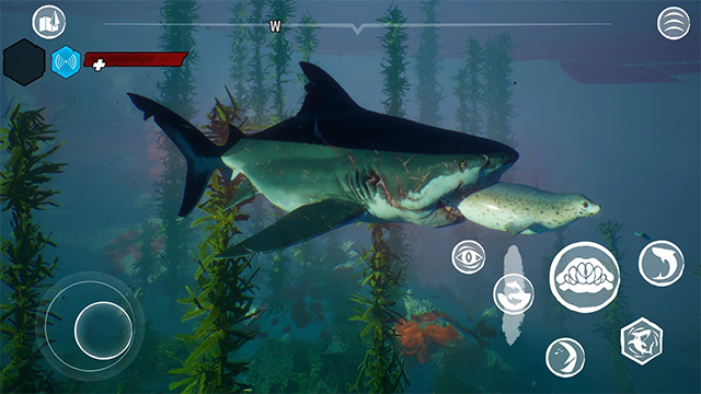 食人鲨正版手游1