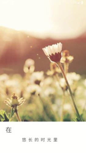 旧时光app1