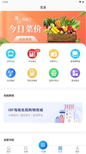 海南政务服务平台app手机版图片3