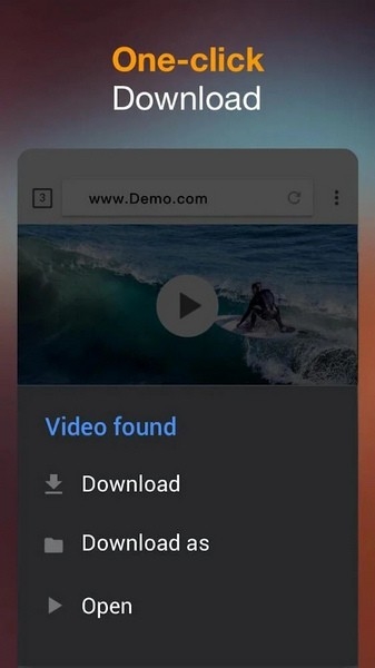 Video Downloader图片1