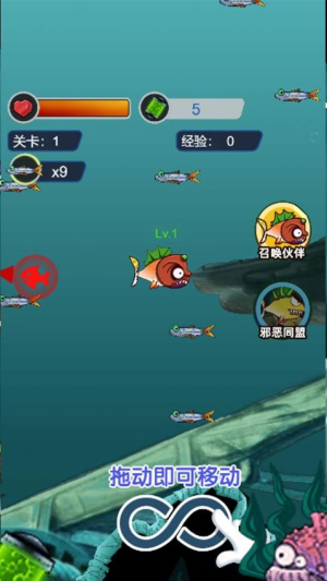 养个小乖乖官方正版2