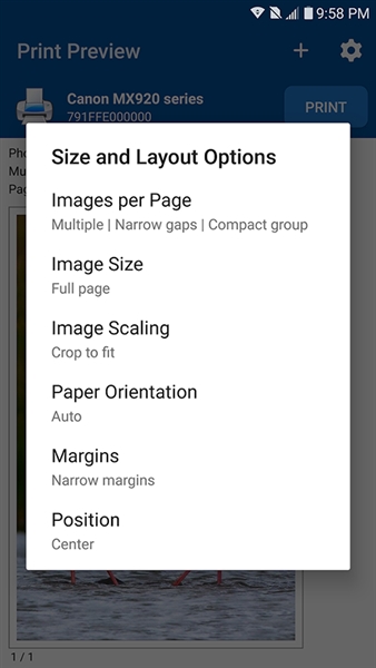 nokoprint高级版最新版本4