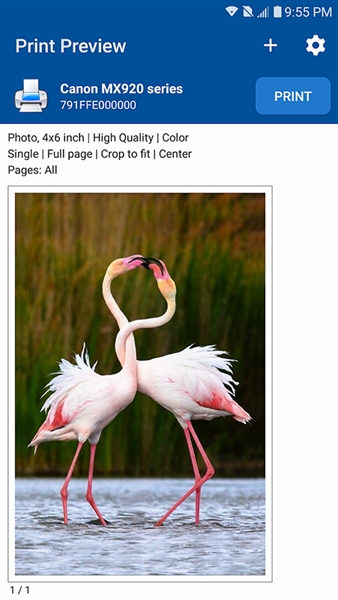 nokoprint高级版最新版本宣传图