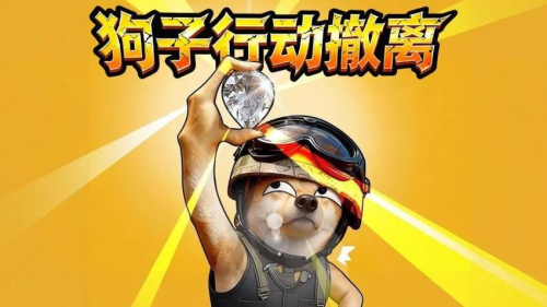 狗子行动撤离最新正版2