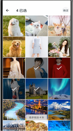 Moo日记专业版图片9