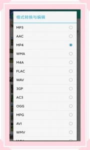 风云格式工厂正版1