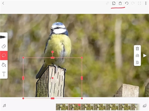 FlipaClip高级版14