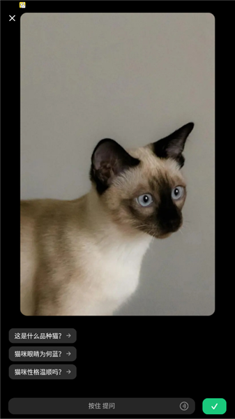 豆包爱学官方正版1