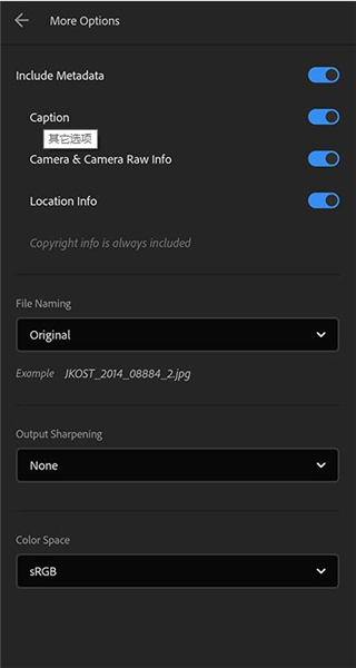 怎么导出图片配图2