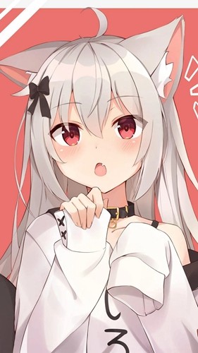 wallpaper4K安卓版5