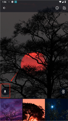 wallpaper4K安卓版图片5