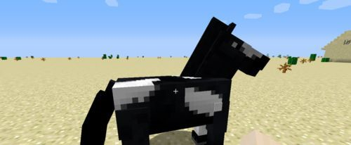 怎么驯服马配图1