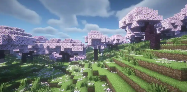 我的世界国际服测试版