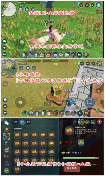 创造与魔法官服