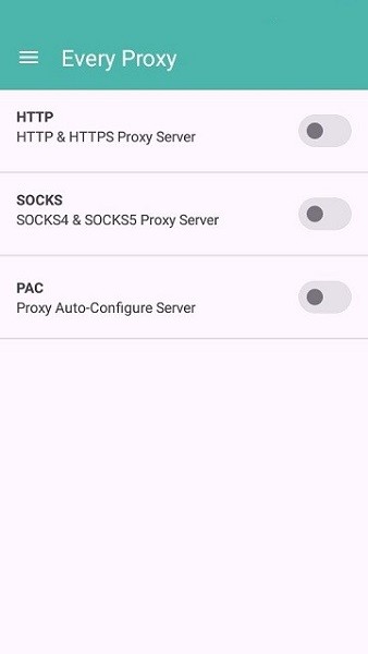 every proxy中文版2