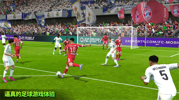 fifa22安卓版3
