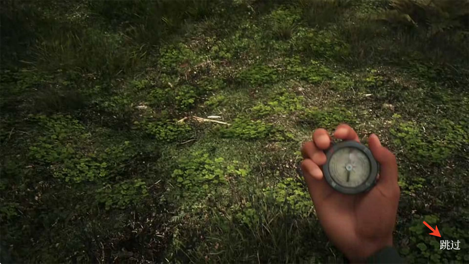 奥罗拉山第二章