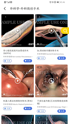 医维度3d人体解剖1