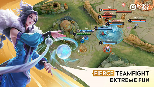 王者荣耀国际服体验服4